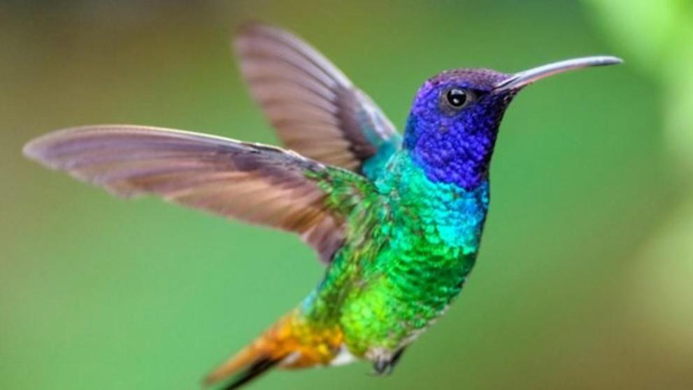 Апартаменти Colibri Плайя-дель-Кармен Екстер'єр фото
